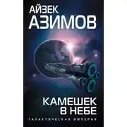 Постер книги Камешек в небе