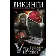 Постер книги Викинги. Заклятие волхвов