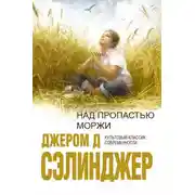 Постер книги Над пропастью во ржи