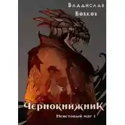 Постер книги Неистовый маг 1