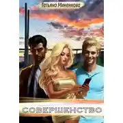 Постер книги Совершенство