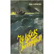 Постер книги Человек за бортом