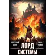 Постер книги Лорд Системы 14