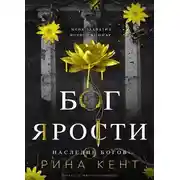 Постер книги Бог Ярости