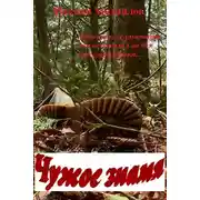 Постер книги Чужое знамя