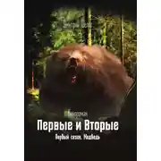 Постер книги Медведь