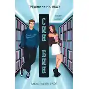 Постер книги Син-Бин