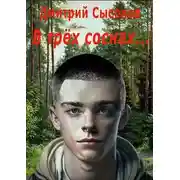 Постер книги В трех соснах…