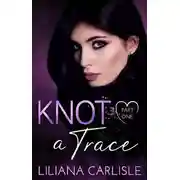 Постер книги Завязать след