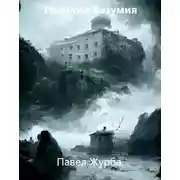 Постер книги Немного безумия