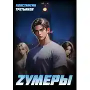 Постер книги Zумеры