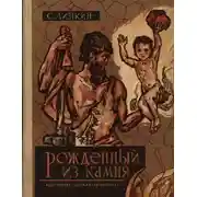 Постер книги Рожденный из камня