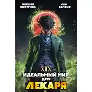 Постер книги Идеальный мир для Лекаря 19