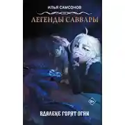 Постер книги Вдалеке горят огни