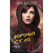 Постер книги Воронья стая