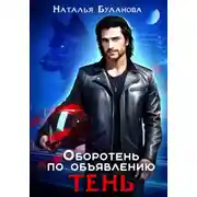 Постер книги Тень