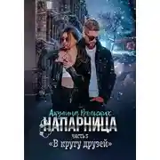 Постер книги В кругу друзей