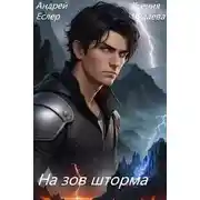 Постер книги На зов шторма