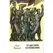 Постер книги Чудесное мгновение