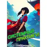 Постер книги Системный практик VI