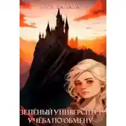 Постер книги Учеба по обмену