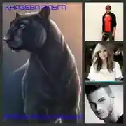 Постер книги Игра в кошки-мышки