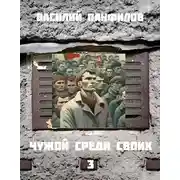 Постер книги Чужой среди своих 3
