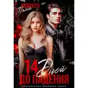 Постер книги 14 дней до падения