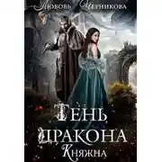 Постер книги Тень дракона. Княжна