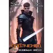 Постер книги Мир падающих звезд I. Ополченец