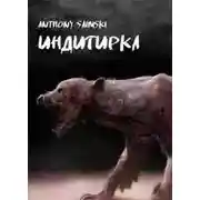 Постер книги Индигирка