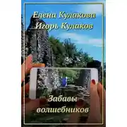 Постер книги Забавы волшебников