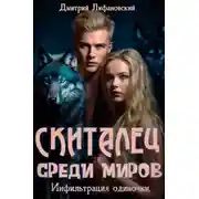 Постер книги Скиталец среди миров