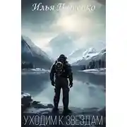 Постер книги Уходим к звёздам