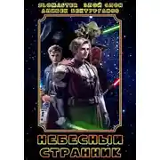 Постер книги Небесный странник