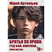 Постер книги Гуд бай, Америка…