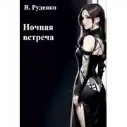 Постер книги Ночная встреча