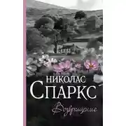 Постер книги Возвращение