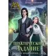 Постер книги Практическое задание для некромантки