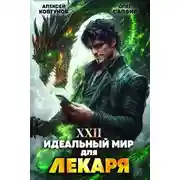 Постер книги Идеальный мир для Лекаря 22
