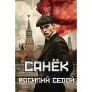 Постер книги Санек