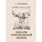 Постер книги Идеалы христианской жизни