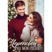 Постер книги Череповец на мою голову