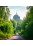 Иван Шевцов - Рыцарь, и его проблемы