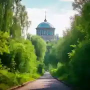 Постер книги Рыцарь, и его проблемы