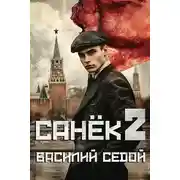 Постер книги Санек 2