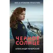 Постер книги Черное солнце