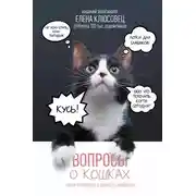 Постер книги Вопросы о кошках. Самое интересное о пушистых любимцах