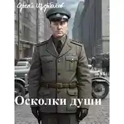 Постер книги Осколки души