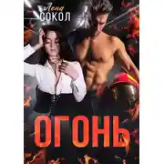 Постер книги Огонь